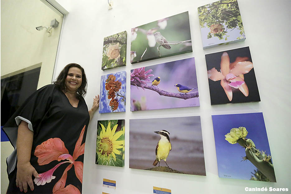 Procuradora e fotógrafa Leila Cunha Lima abre exposição “Pássaros e Flores do Campus” em comemoração aos 25 anos da UNI-RN