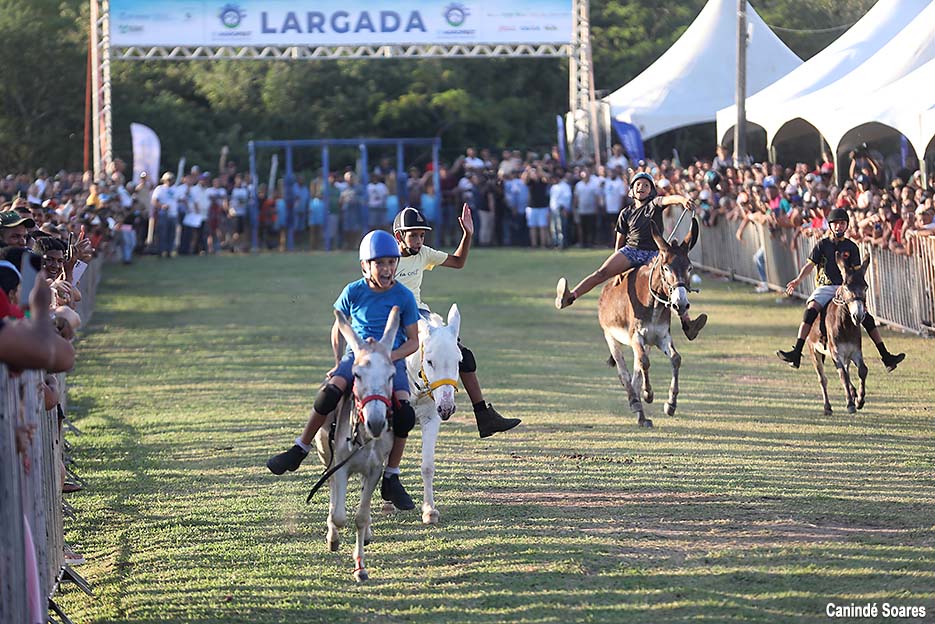 Corrida de Jegue anima a Agrofest neste sábado em Poço de Pedra – São Gonçalo do Amarante