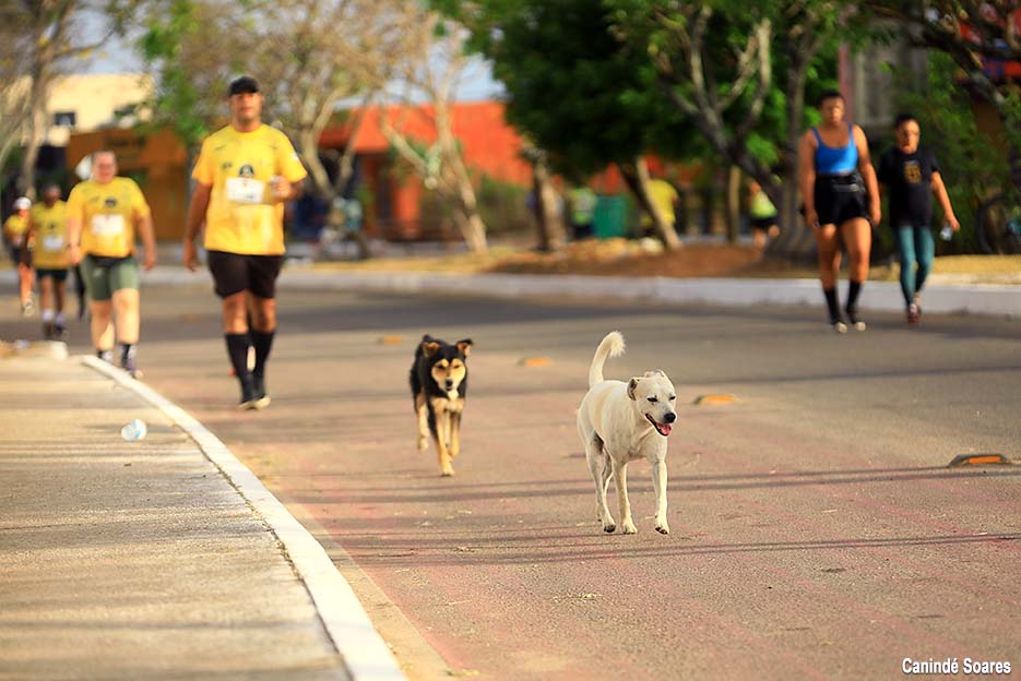 8ª Corrida Jardins homenageia o Centenário de Dona Militana e movimenta o bairro nas primeiras horas da manhã deste domingo